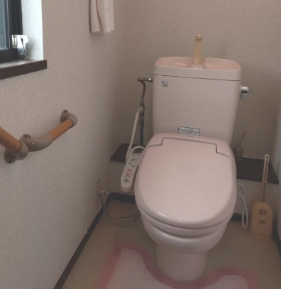エディオンリフォーム トイレの解体前