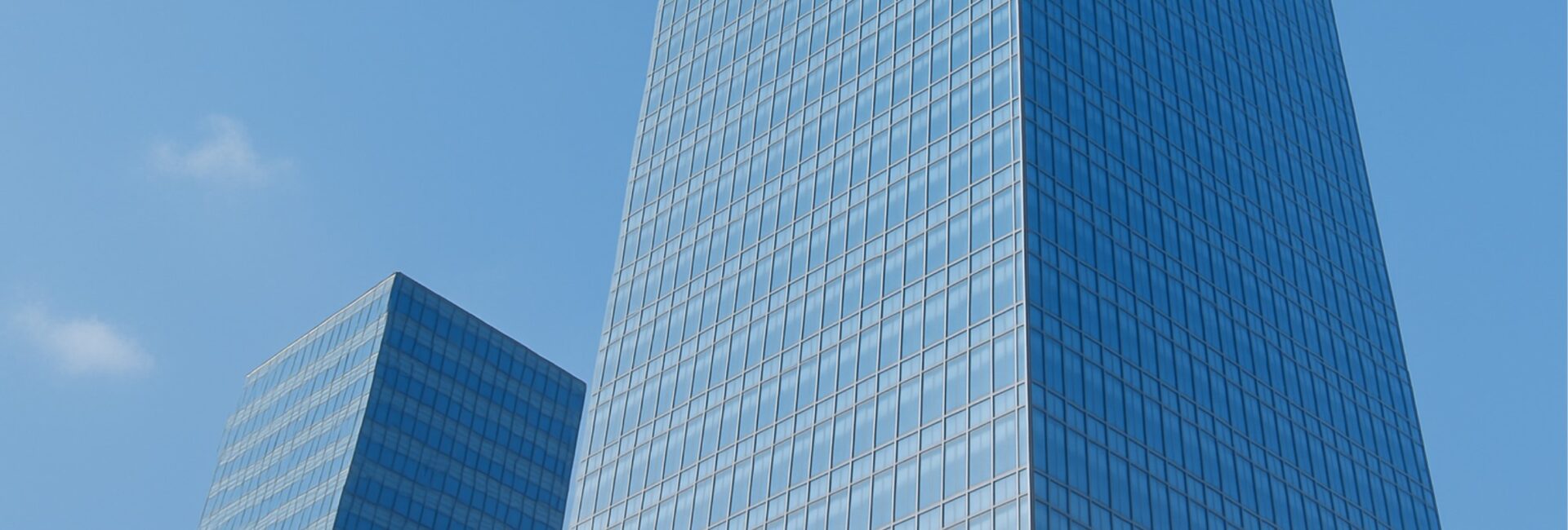 大手企業