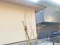 ファミリー庭園 兵庫店_1